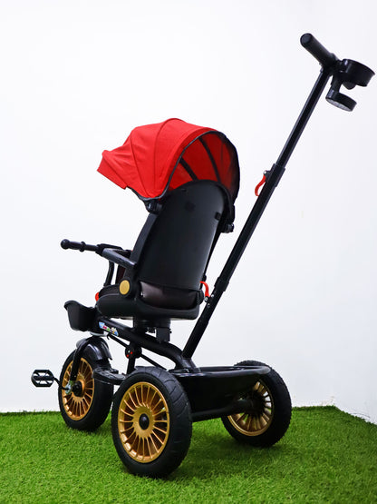 Triciclo paseador