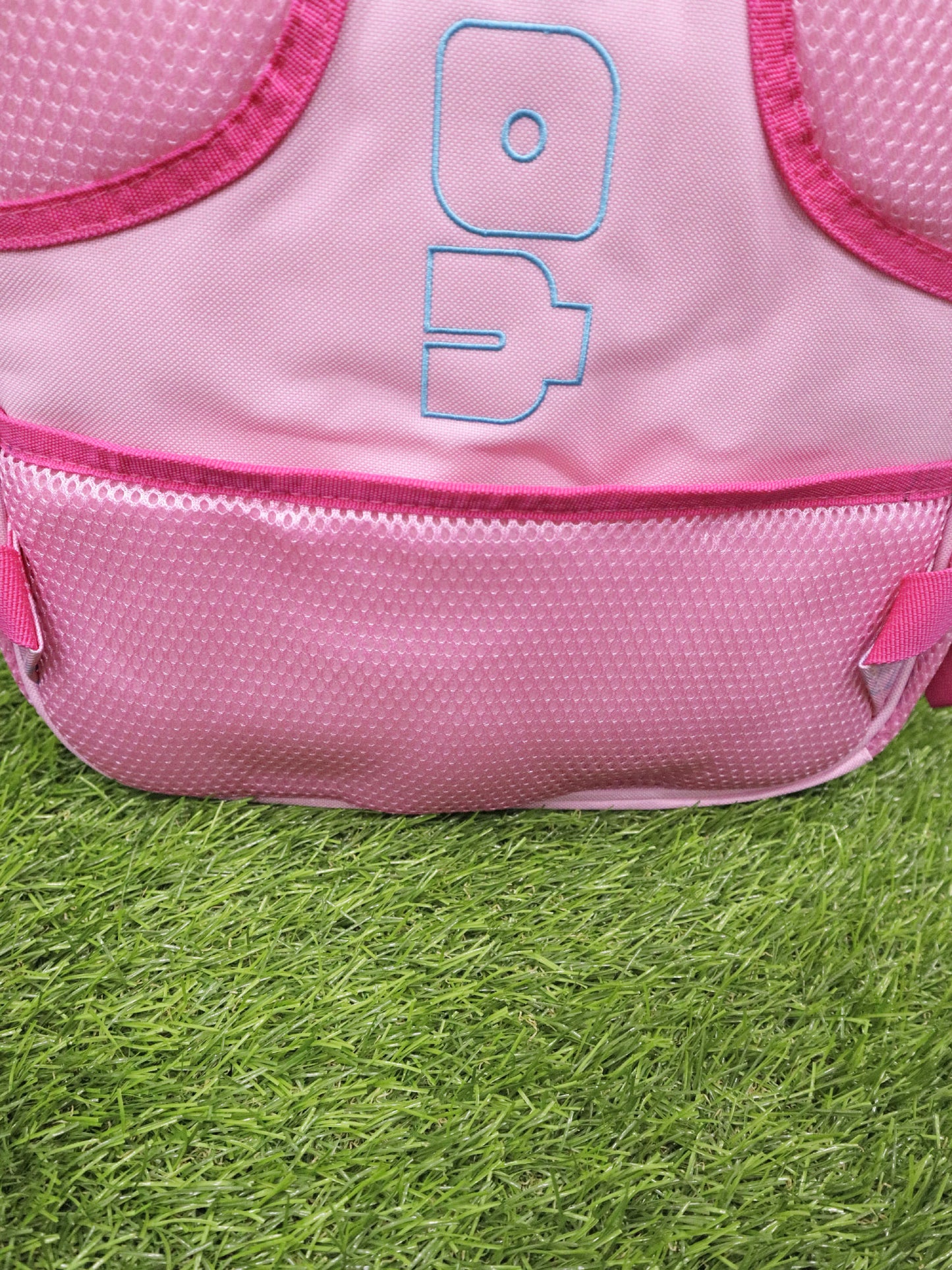 Bolso YOLO - 4235006