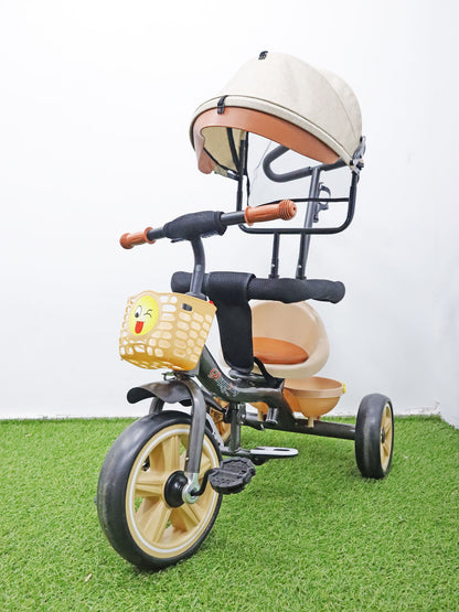Triciclo paseador - NZ53