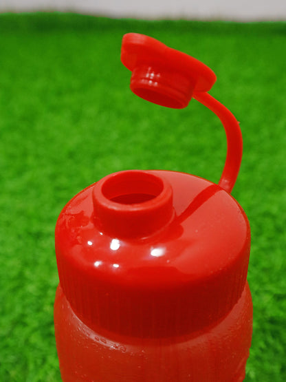 Botella de agua - 71012