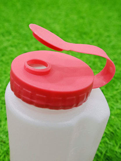 Set de lonchera - STR4043