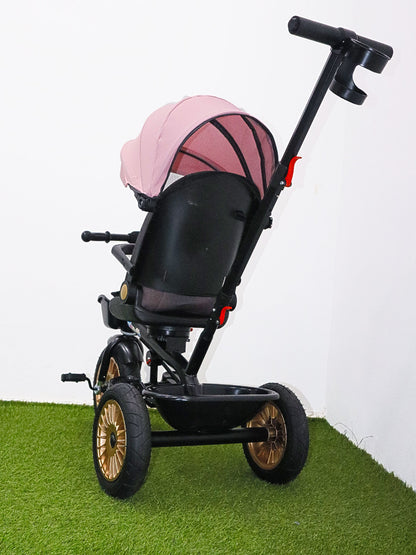 Triciclo paseador