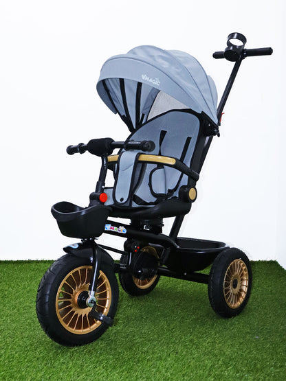 Triciclo paseador