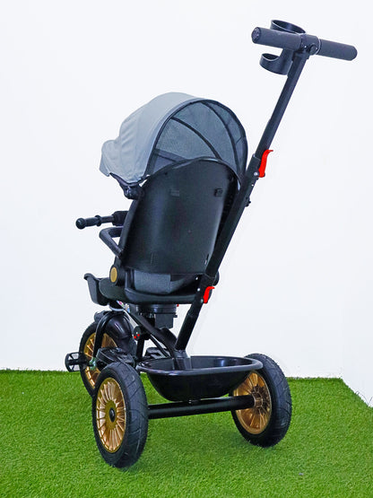 Triciclo paseador