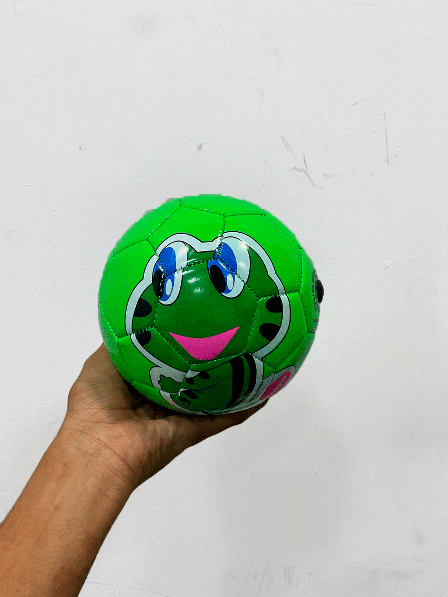 PELOTA - T240552