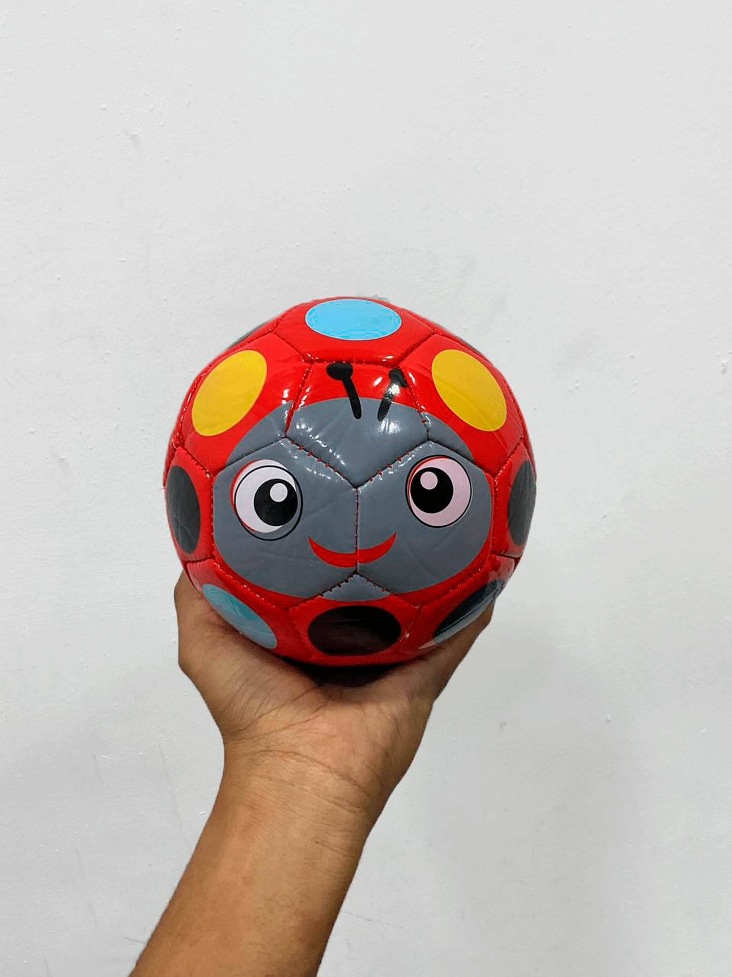 PELOTA - T240552