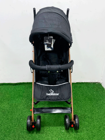 COCHE - KG100