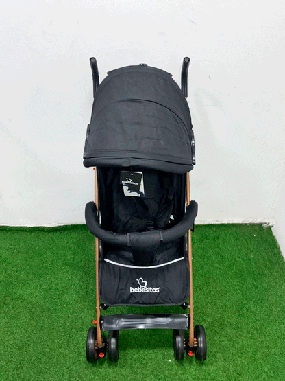 COCHE - KG100