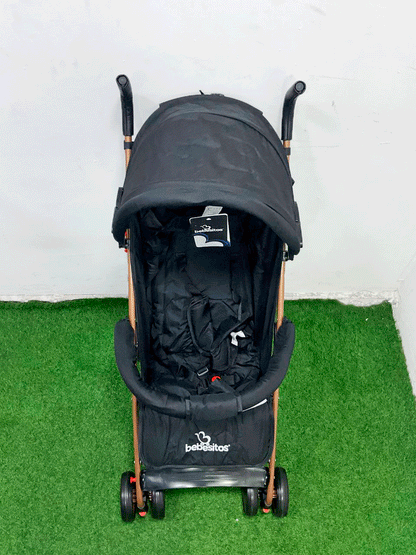 COCHE - KG100