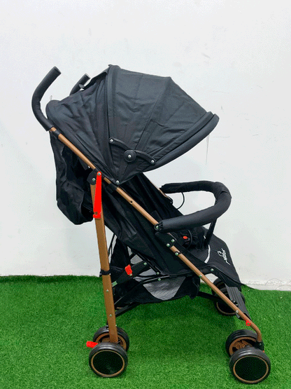 COCHE - KG100