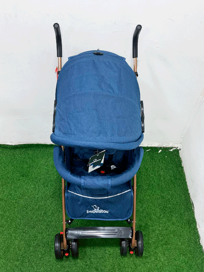 COCHE - KG105