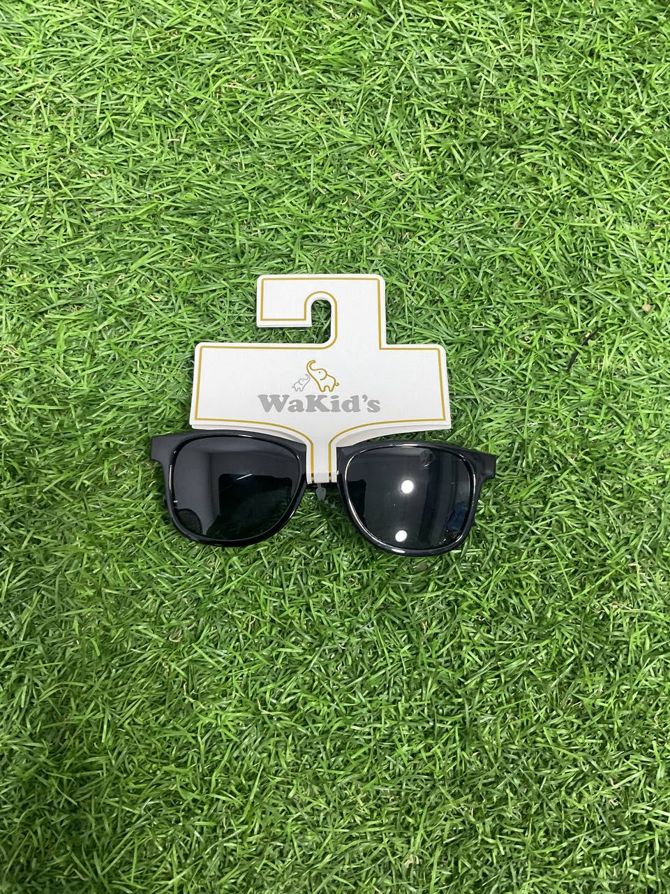 LENTES - A78081
