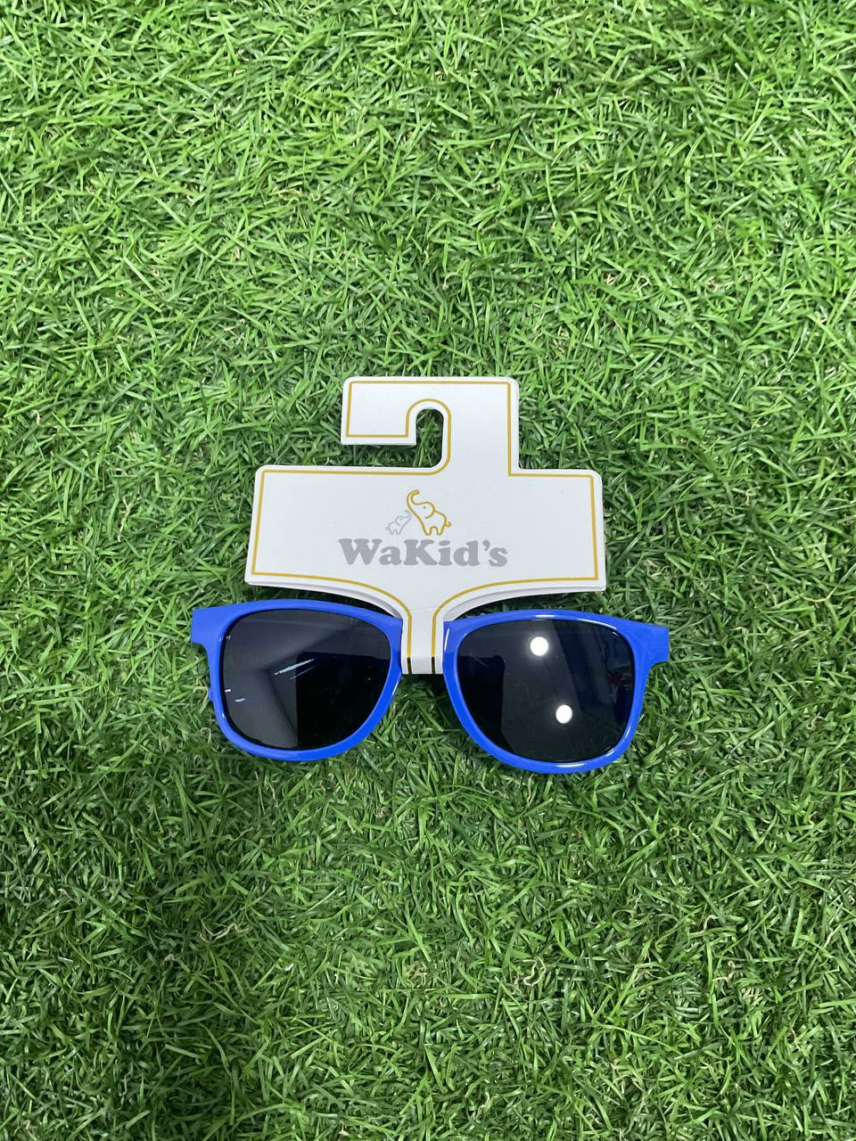 LENTES - A78081