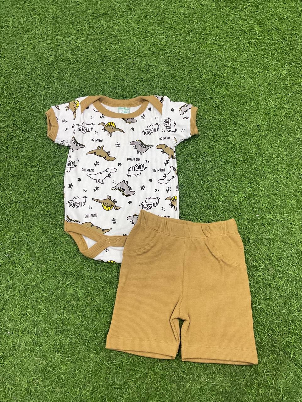 CONJUNTO -33011046