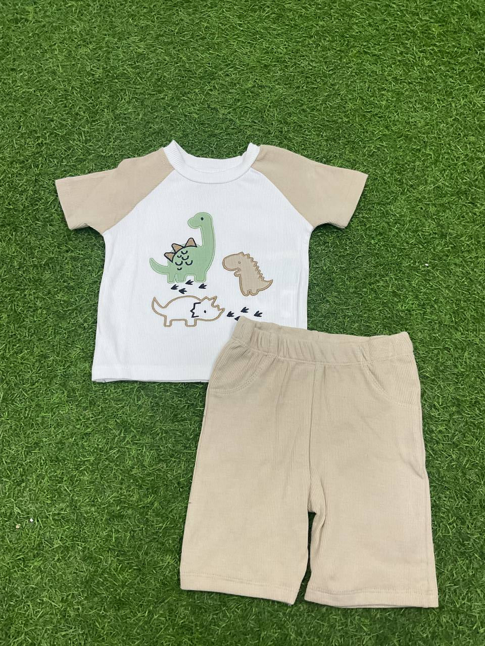 CONJUNTO -33011048