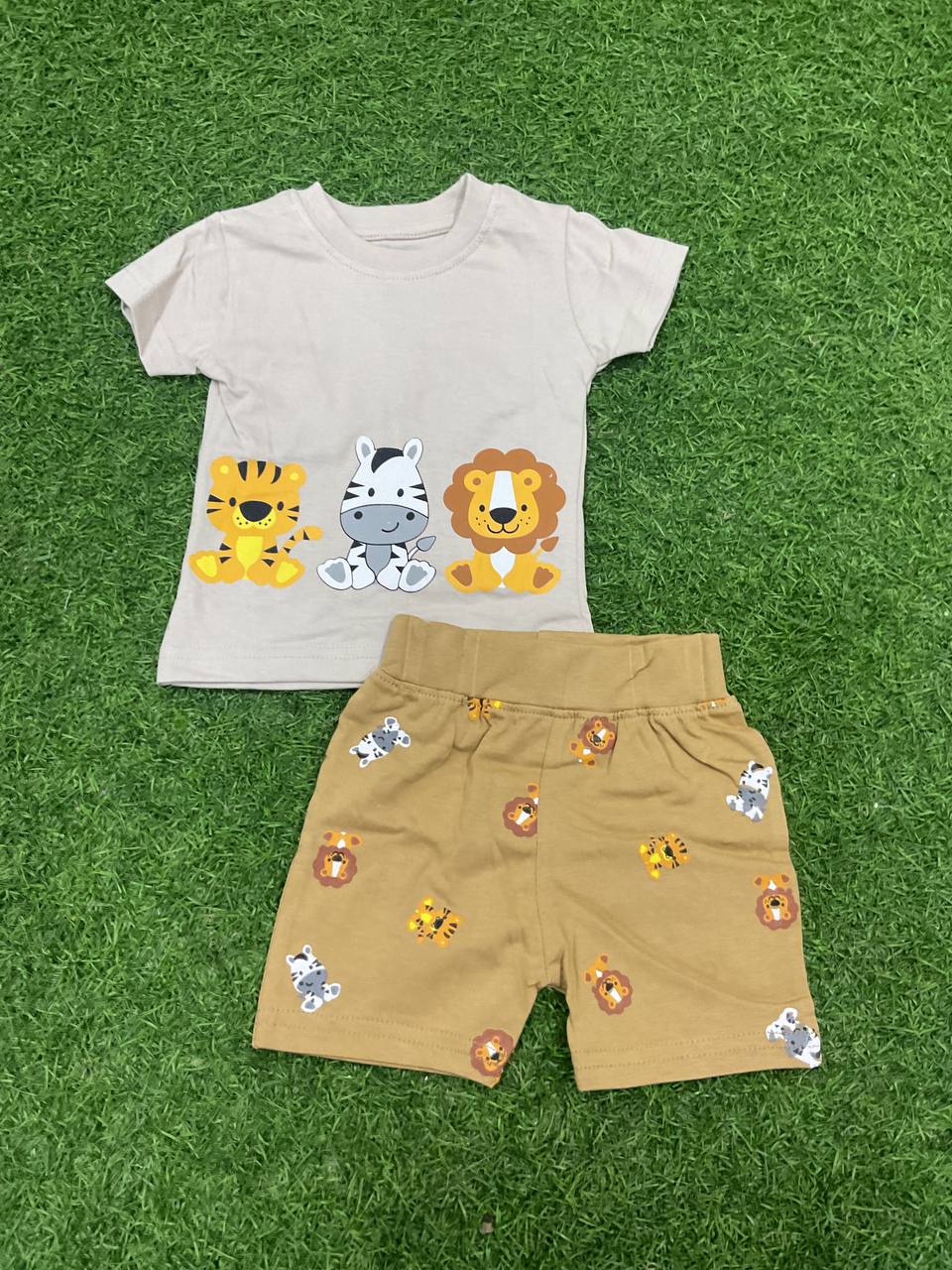CONJUNTO  - 33010975