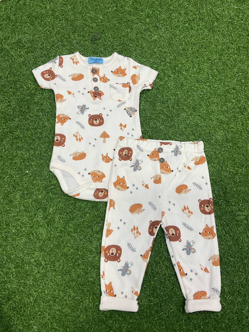 CONJUNTO - E146H101GB